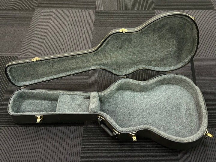 Semi-Hollowbody Case, Recent