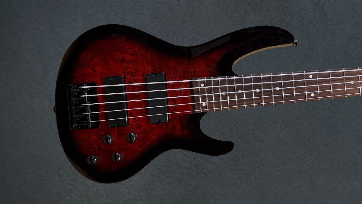 ESP/LTD Basses – Dave's Guitar Shop