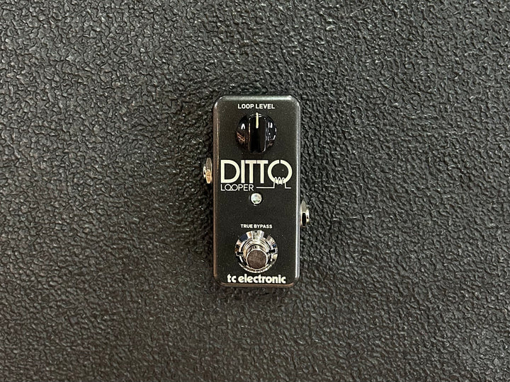 Ditto Looper, Recent