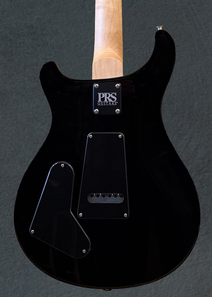 Swamp Ash Special - Black Doghair