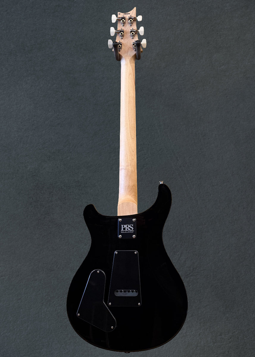Swamp Ash Special - Black Doghair