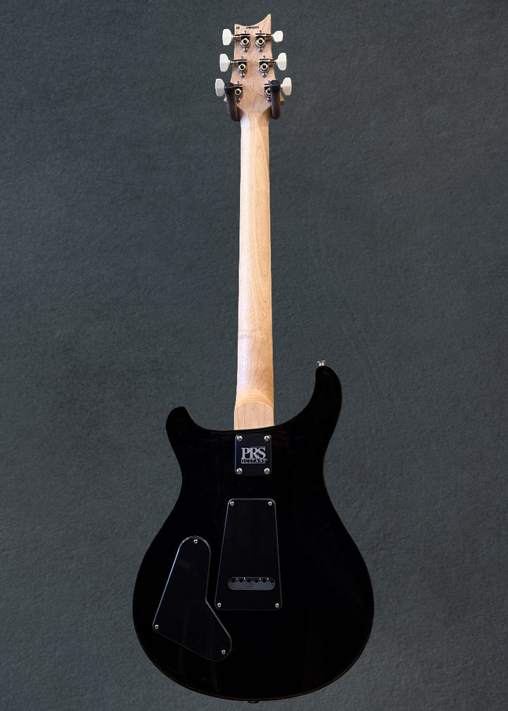 Swamp Ash Special - Black Doghair