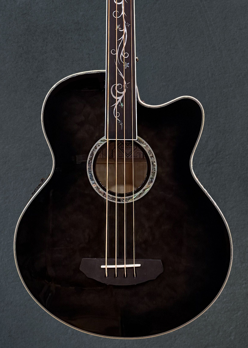 Dragonfly 4 Fretless  Bass - Smoke Burst