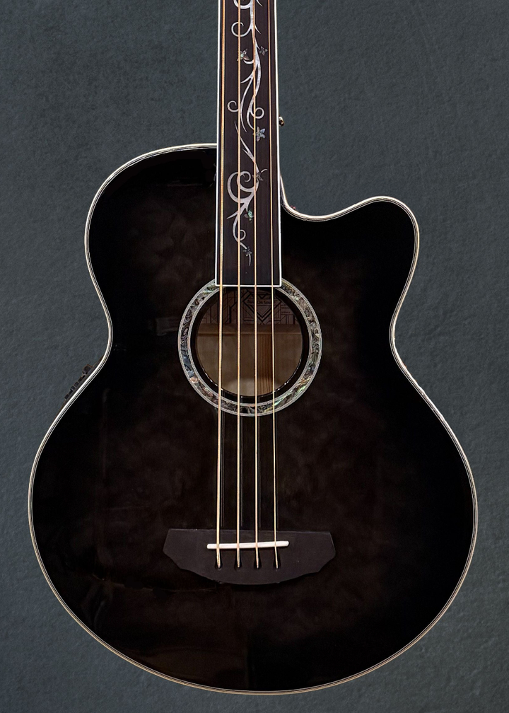 Dragonfly 4 Fretless  Bass - Smoke Burst