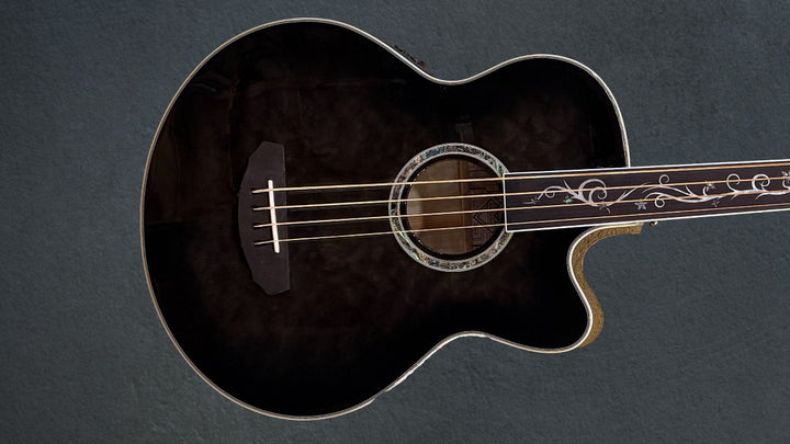 Dragonfly 4 Fretless  Bass - Smoke Burst