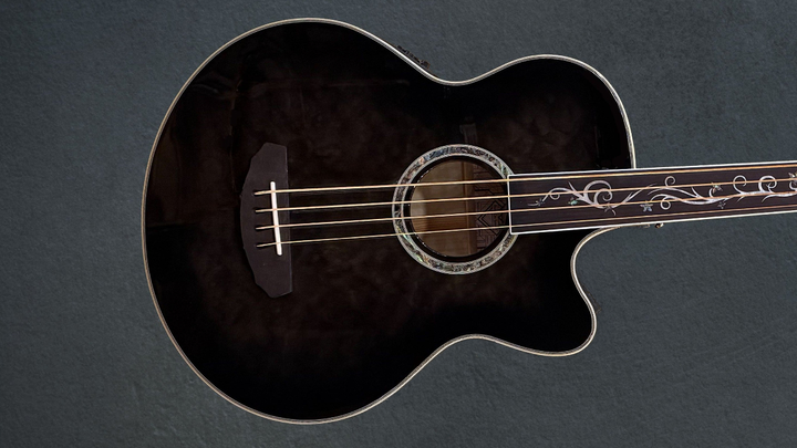 Dragonfly 4 Fretless  Bass - Smoke Burst