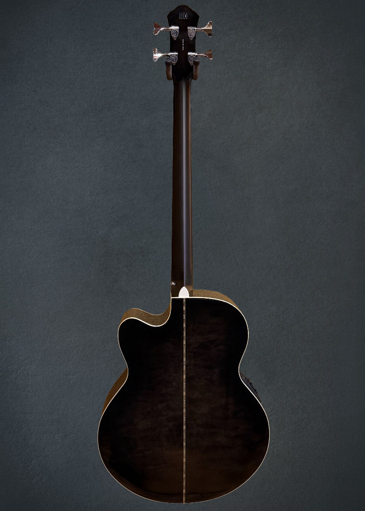 Dragonfly 4 Fretless  Bass - Smoke Burst