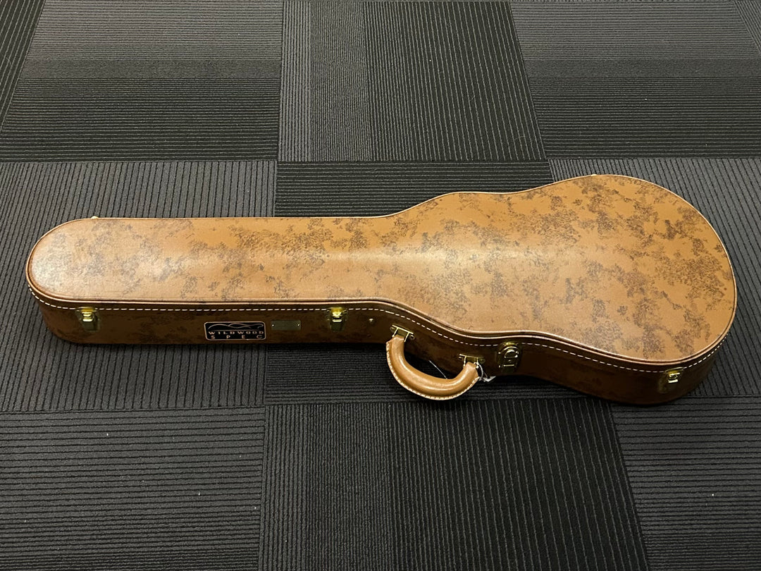 Wildwood Spec Lifton Historic Les Paul Case, Recent