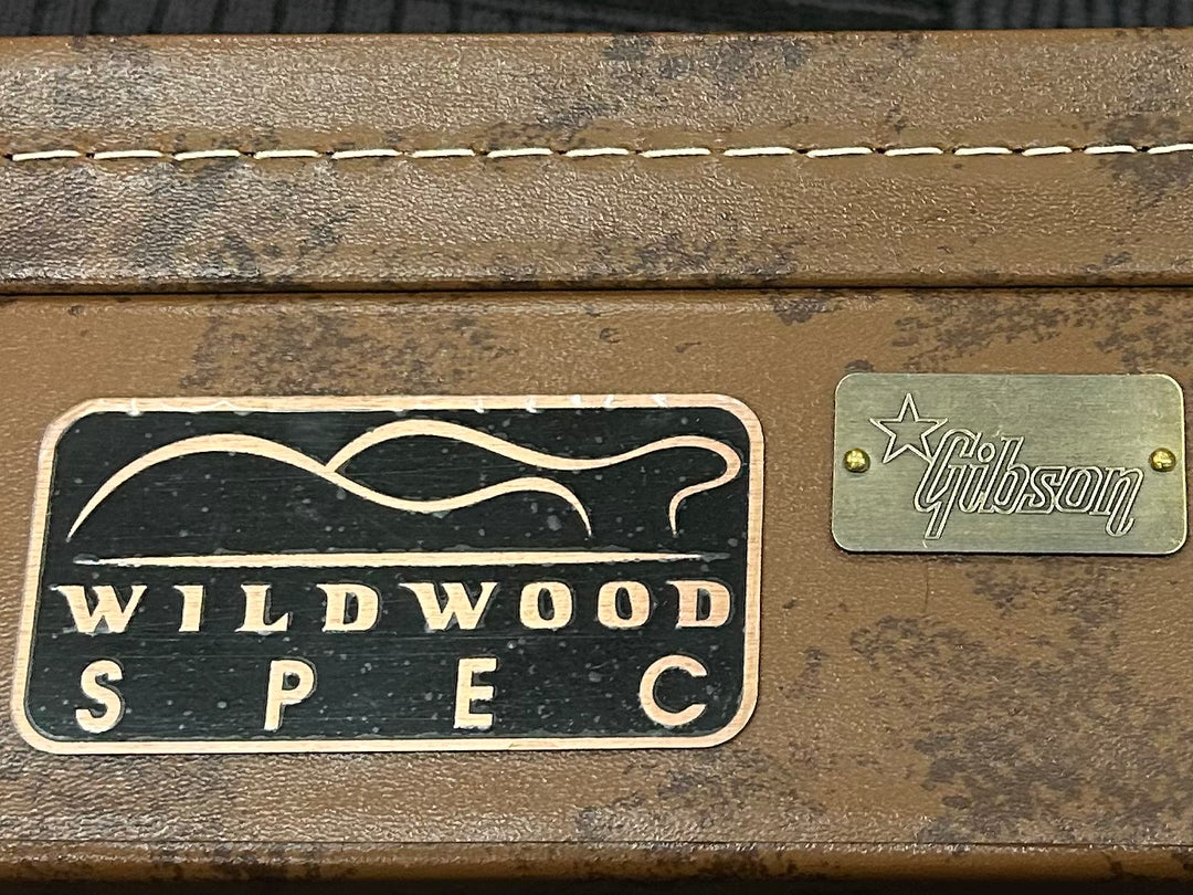 Wildwood Spec Lifton Historic Les Paul Case, Recent