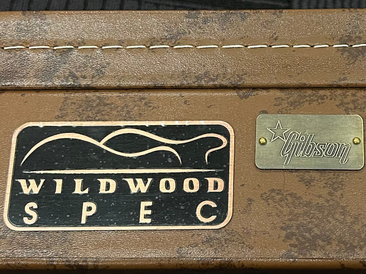 Wildwood Spec Lifton Historic Les Paul Case, Recent