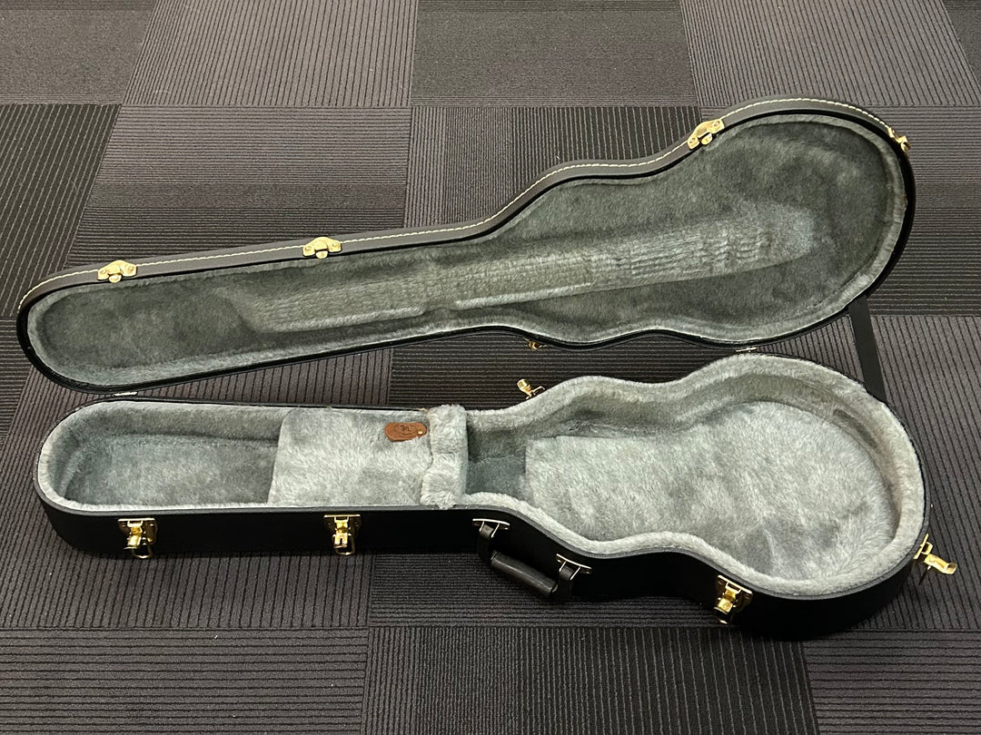 Les Paul Case, Recent