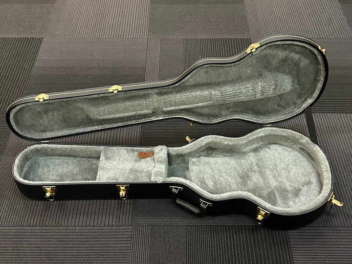 Les Paul Case, Recent