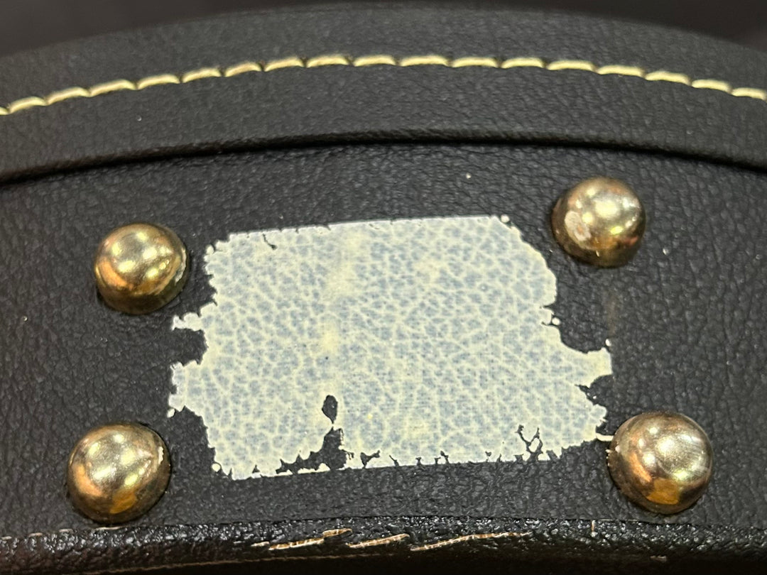 Les Paul Case, Recent