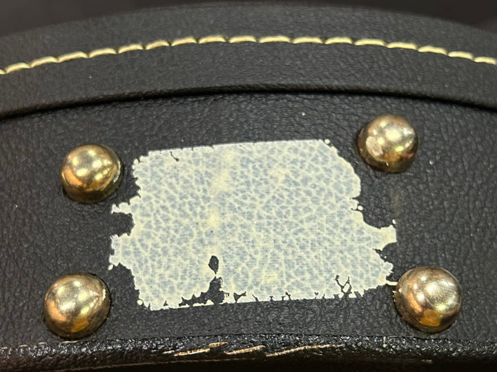 Les Paul Case, Recent