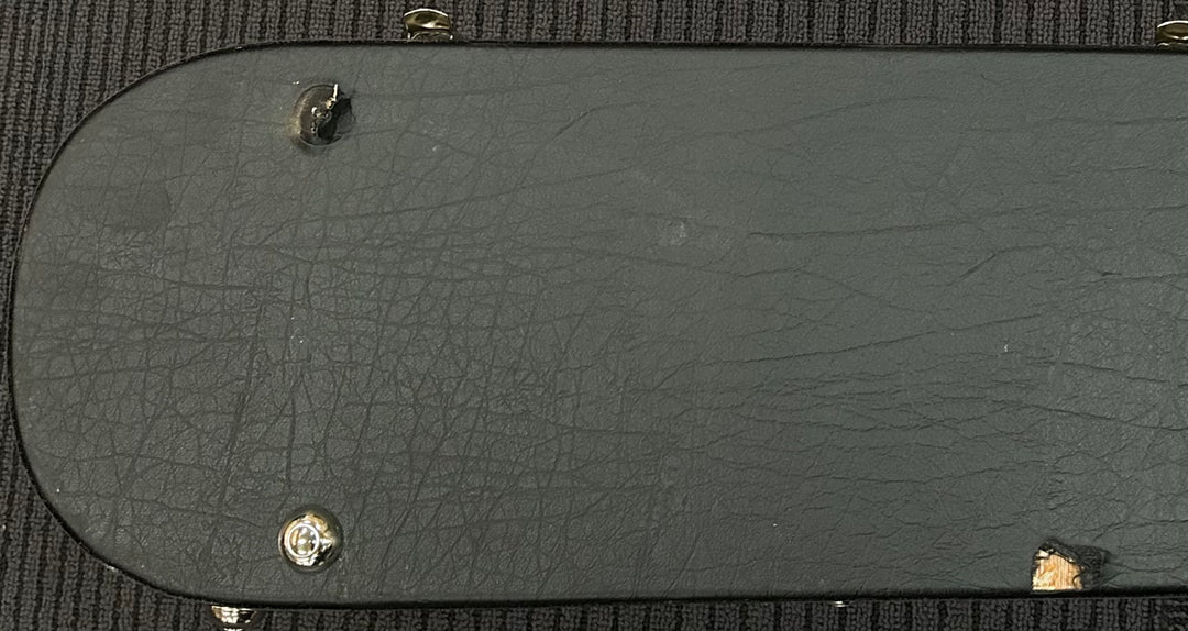 Adam Jones Les Paul Case, Recent