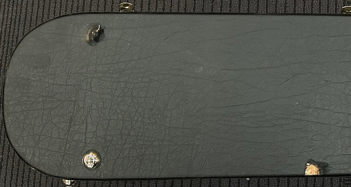 Adam Jones Les Paul Case, Recent
