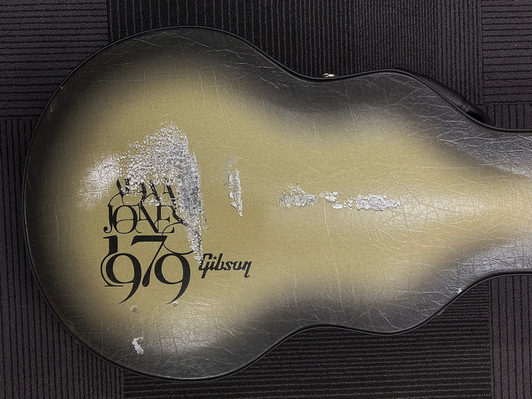 Adam Jones Les Paul Case, Recent
