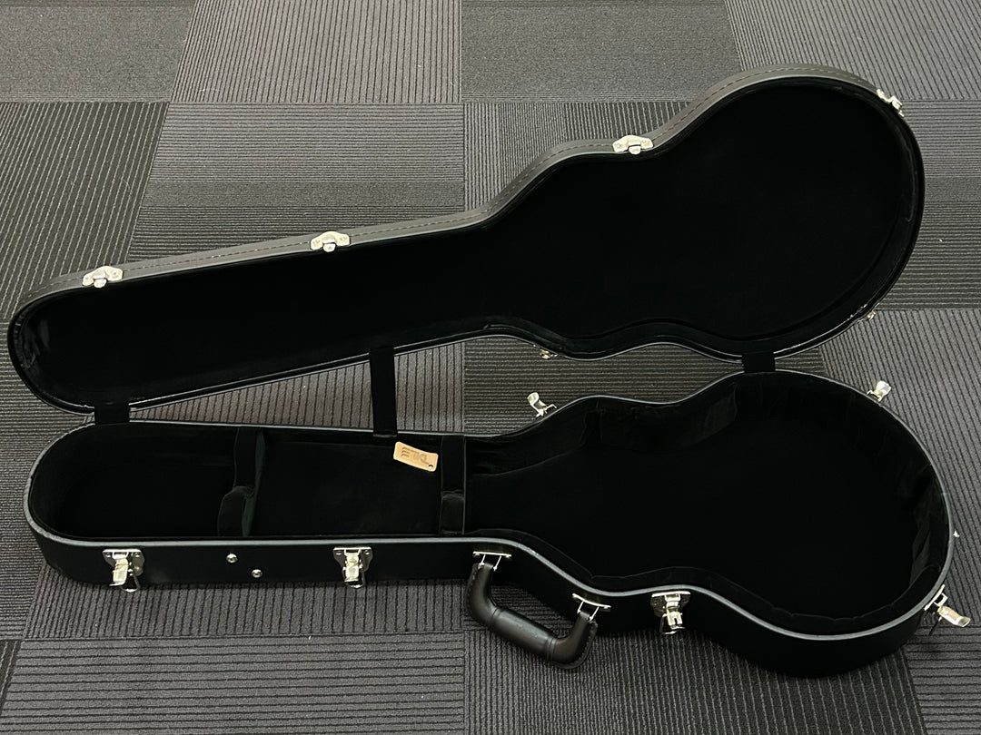 Adam Jones Les Paul Case, Recent