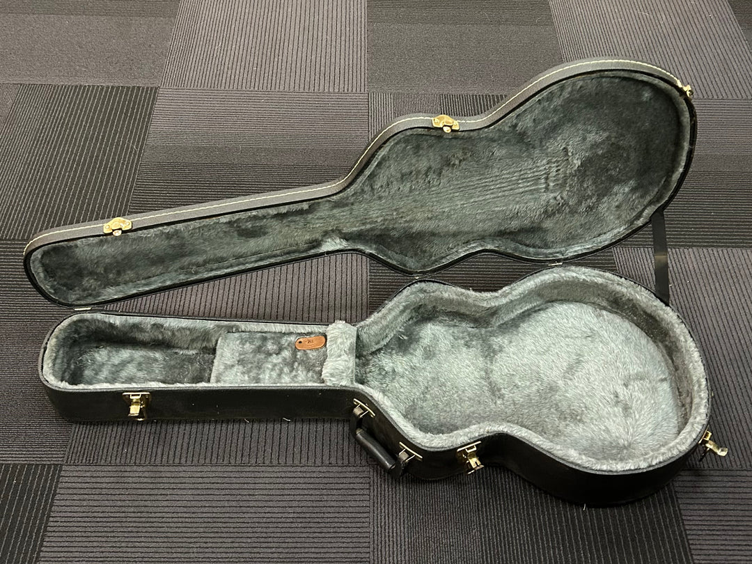 Semi-Hollowbody Case - Black, Recent