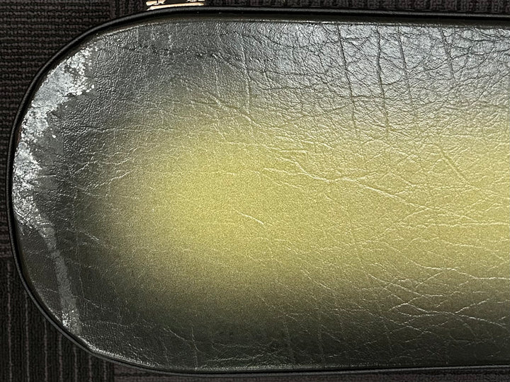 Adam Jones Les Paul Case, Recent