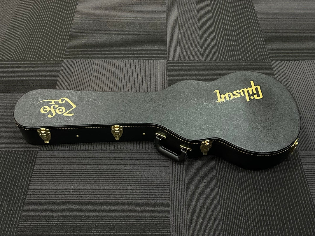 Les Paul Case, Recent