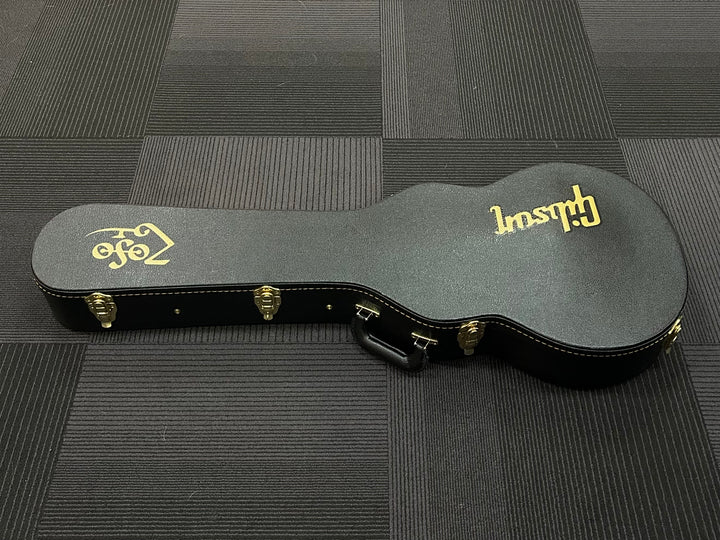 Les Paul Case, Recent