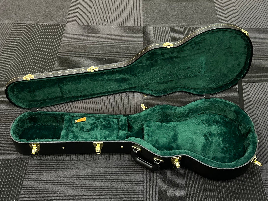 Les Paul Case, Recent