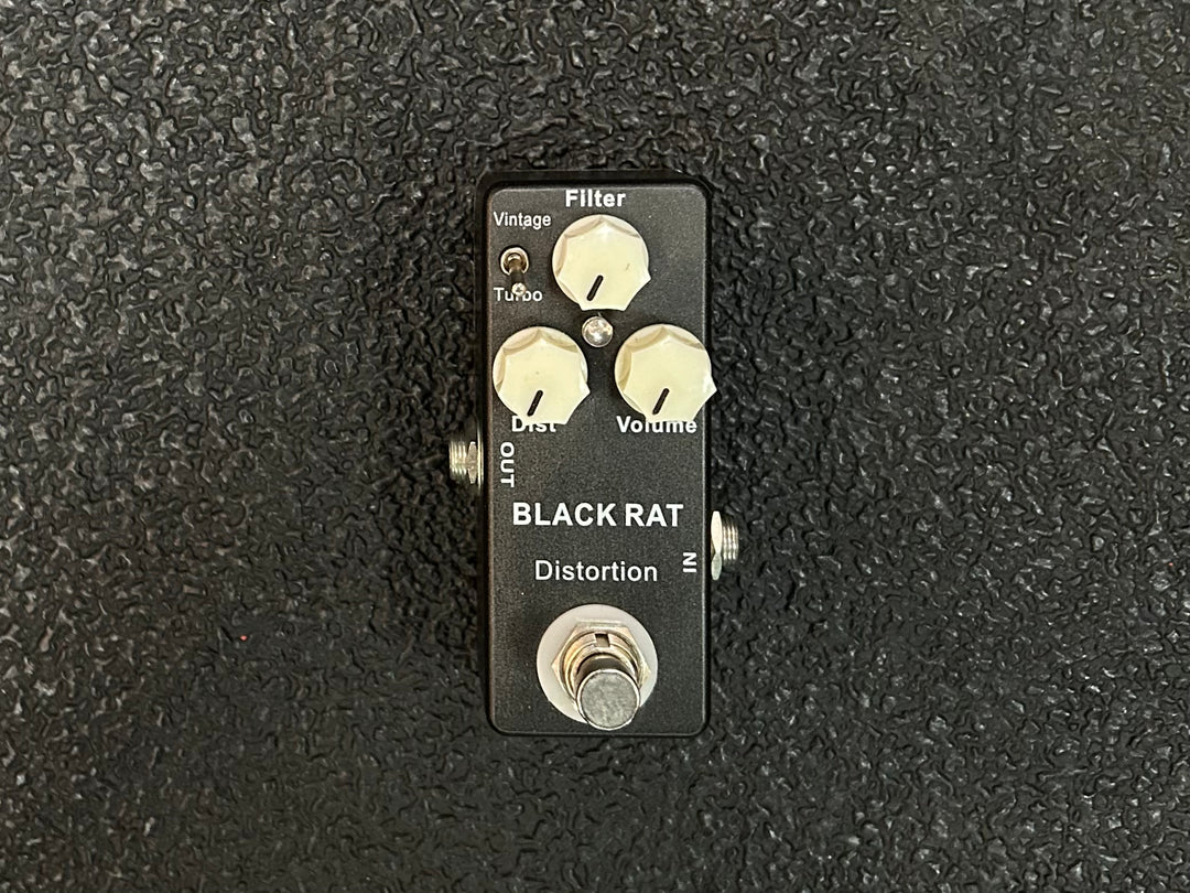 Black Rat, Recent – Dave's Guitar Shop