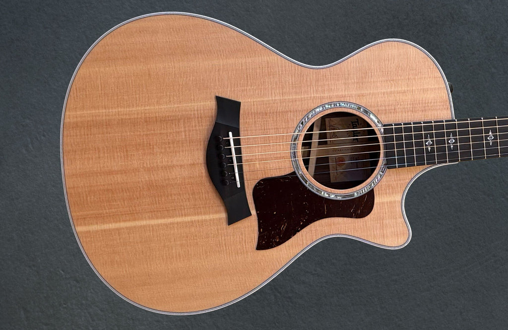 412ce Taylor V-Class Rosewood 412ce Taylor ギター and World Guitar | review 417e ギター