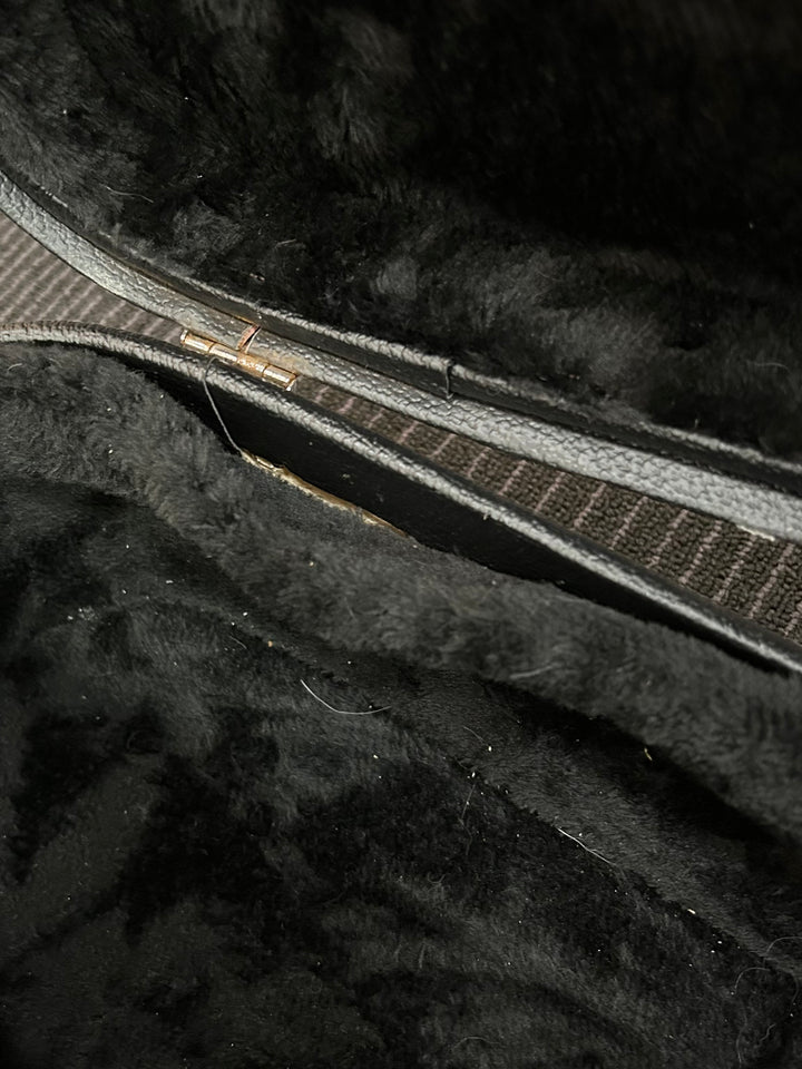 Les Paul Case, Recent