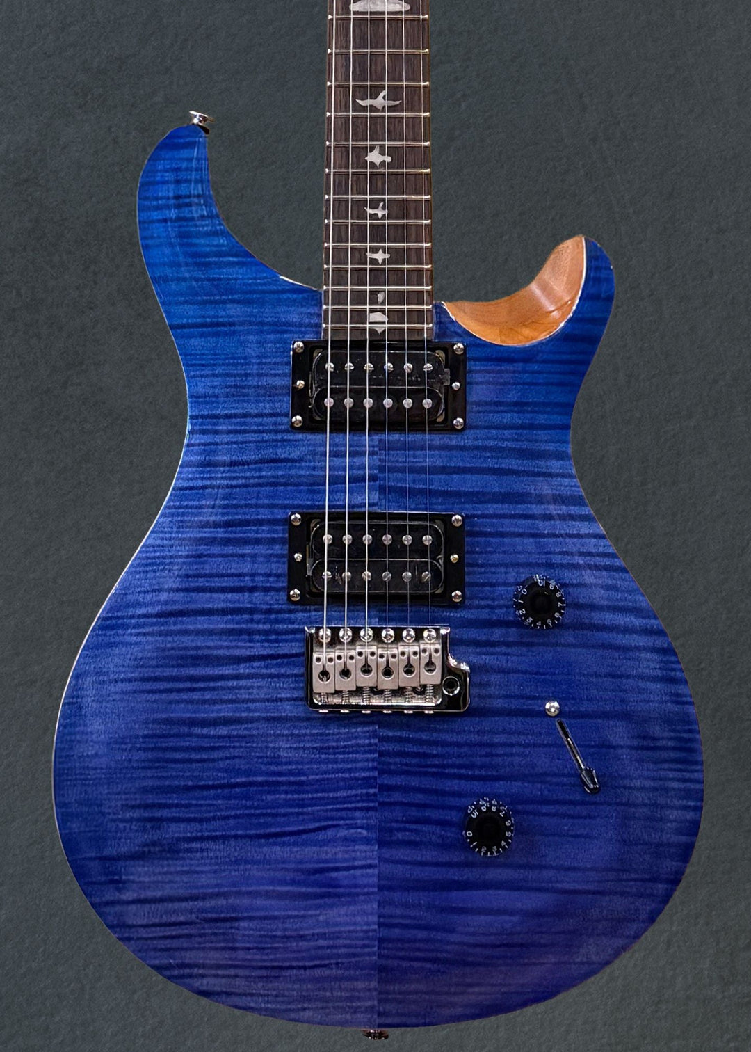 SE Custom 24 &