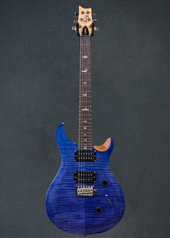 SE Custom 24 &