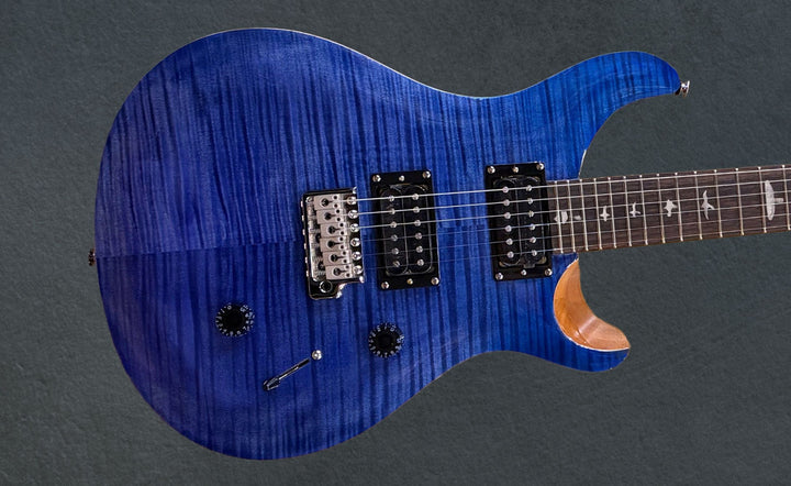 SE Custom 24 &