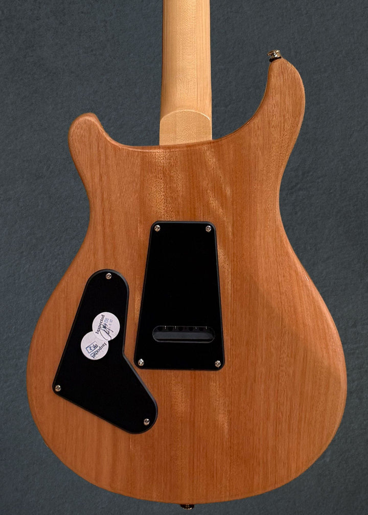 SE Custom 24 &
