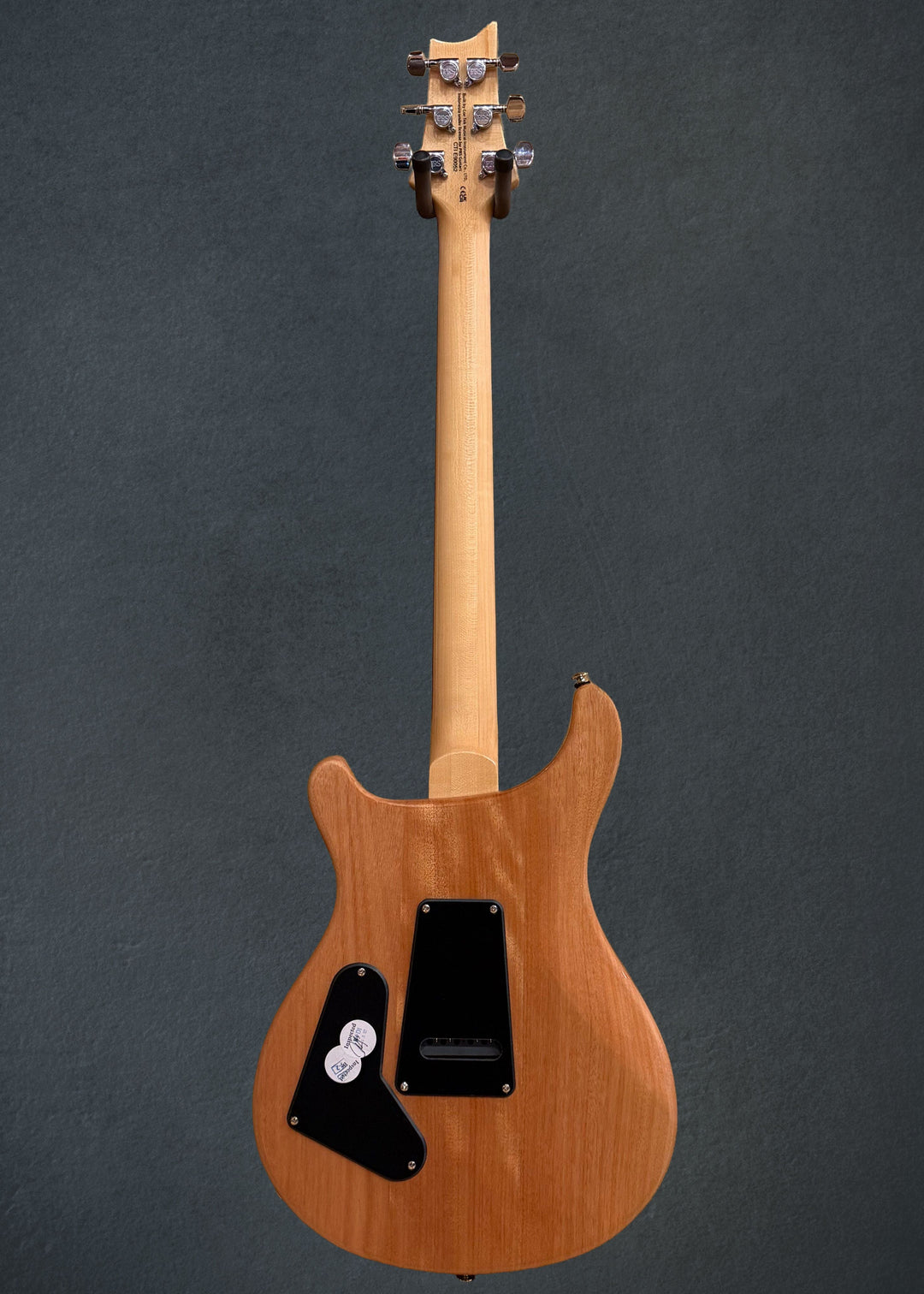 SE Custom 24 &