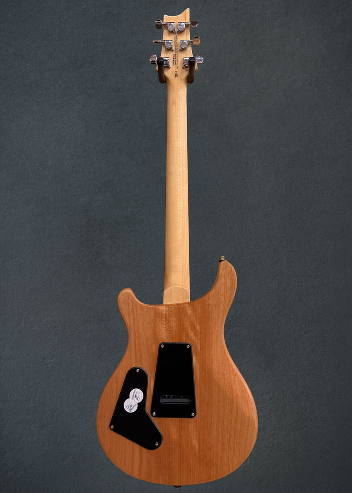 SE Custom 24 &