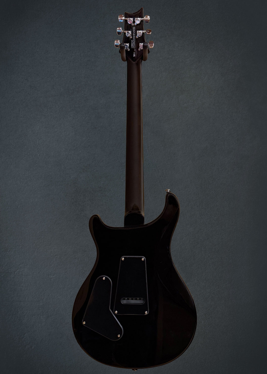 SE Custom 24, &