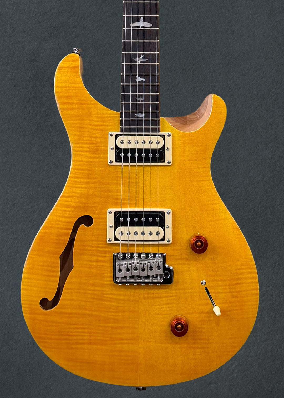 SE Custom 22 Semi-Hollow &