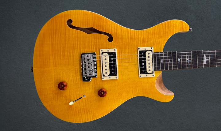 SE Custom 22 Semi-Hollow &