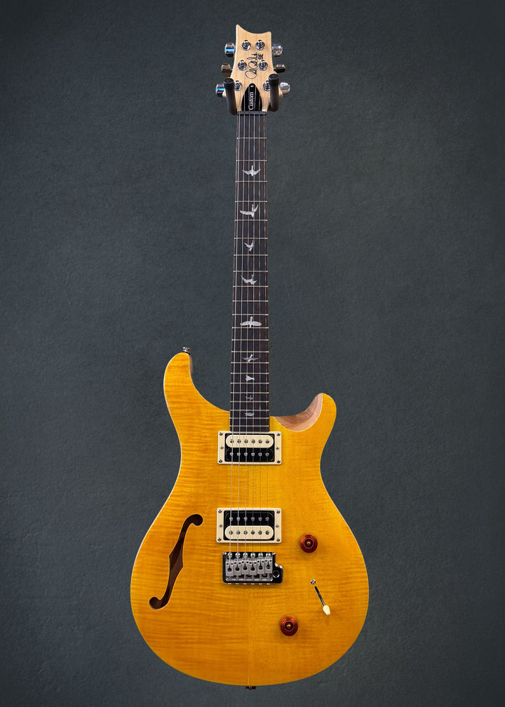 SE Custom 22 Semi-Hollow &
