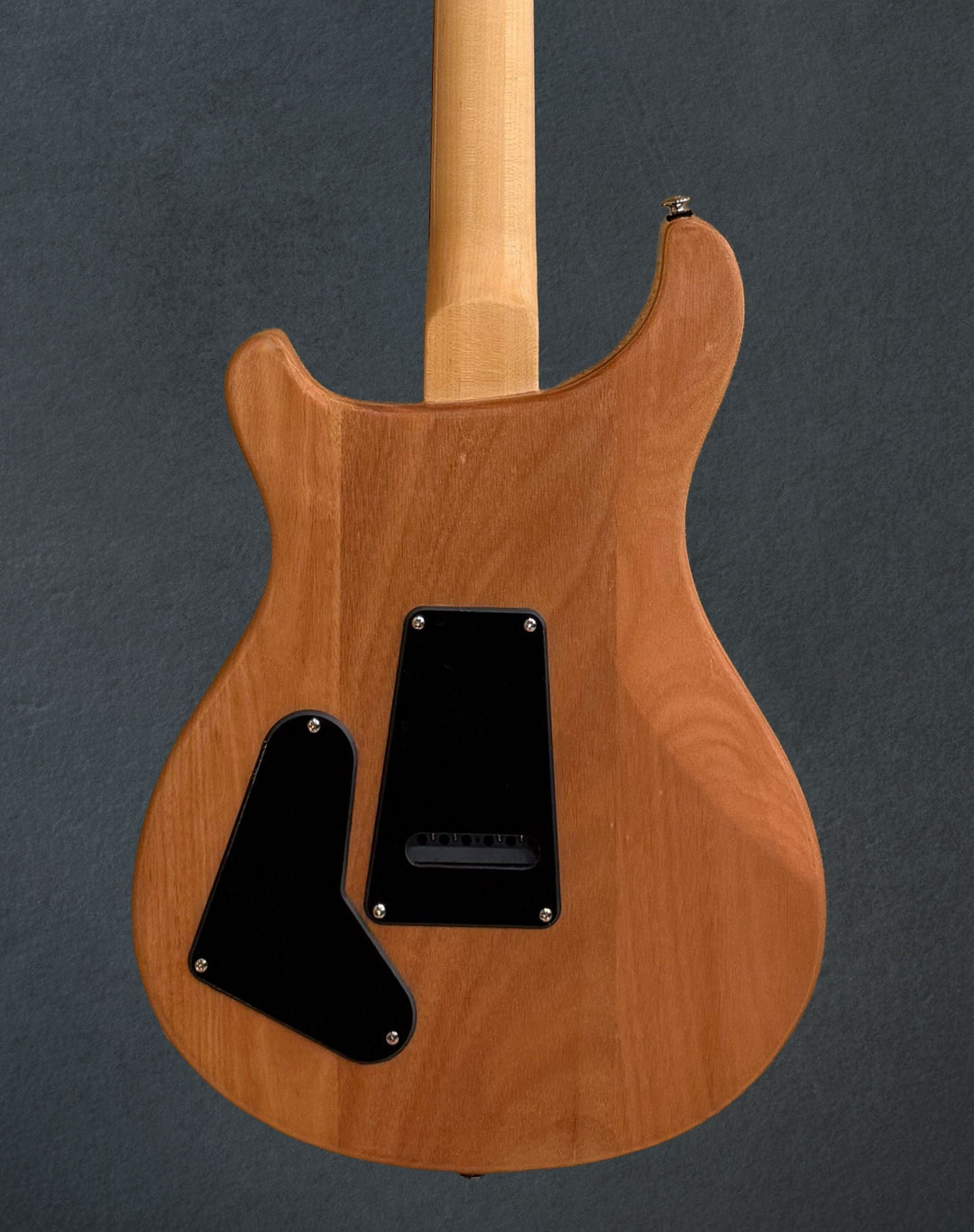 SE Custom 22 Semi-Hollow &