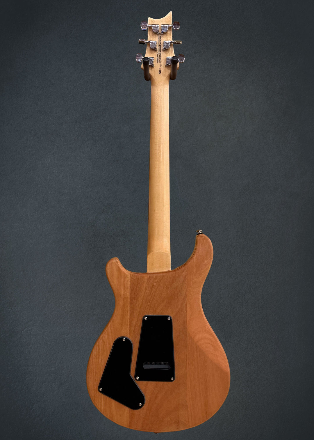 SE Custom 22 Semi-Hollow &