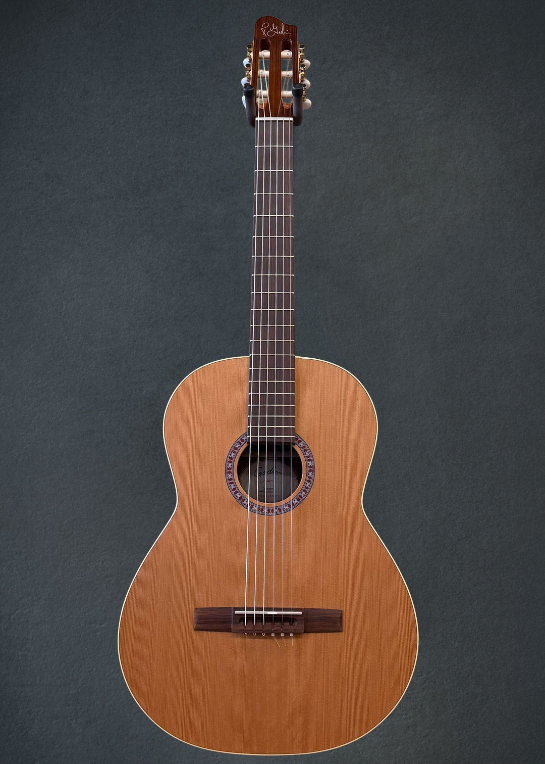 Collection Nylon String, Recent