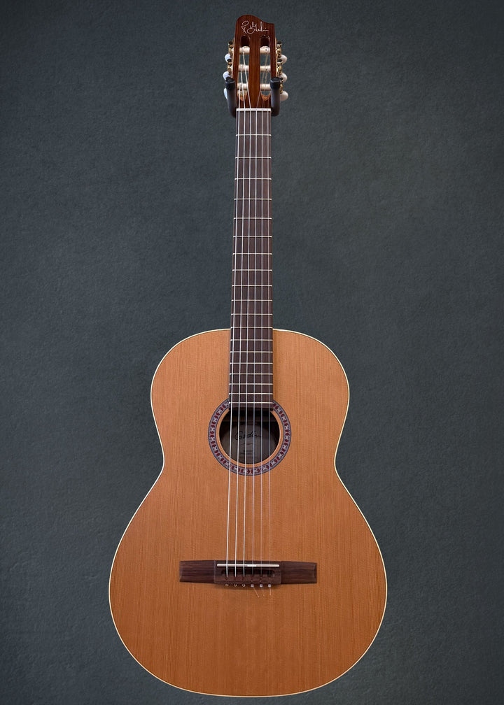 Collection Nylon String, Recent