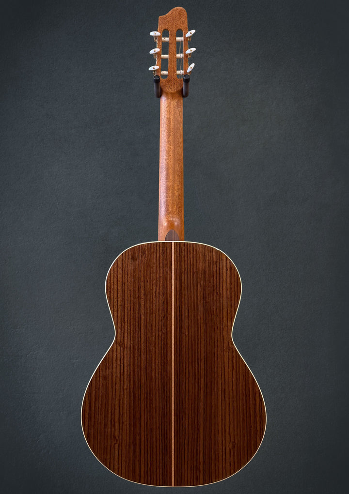 Collection Nylon String, Recent