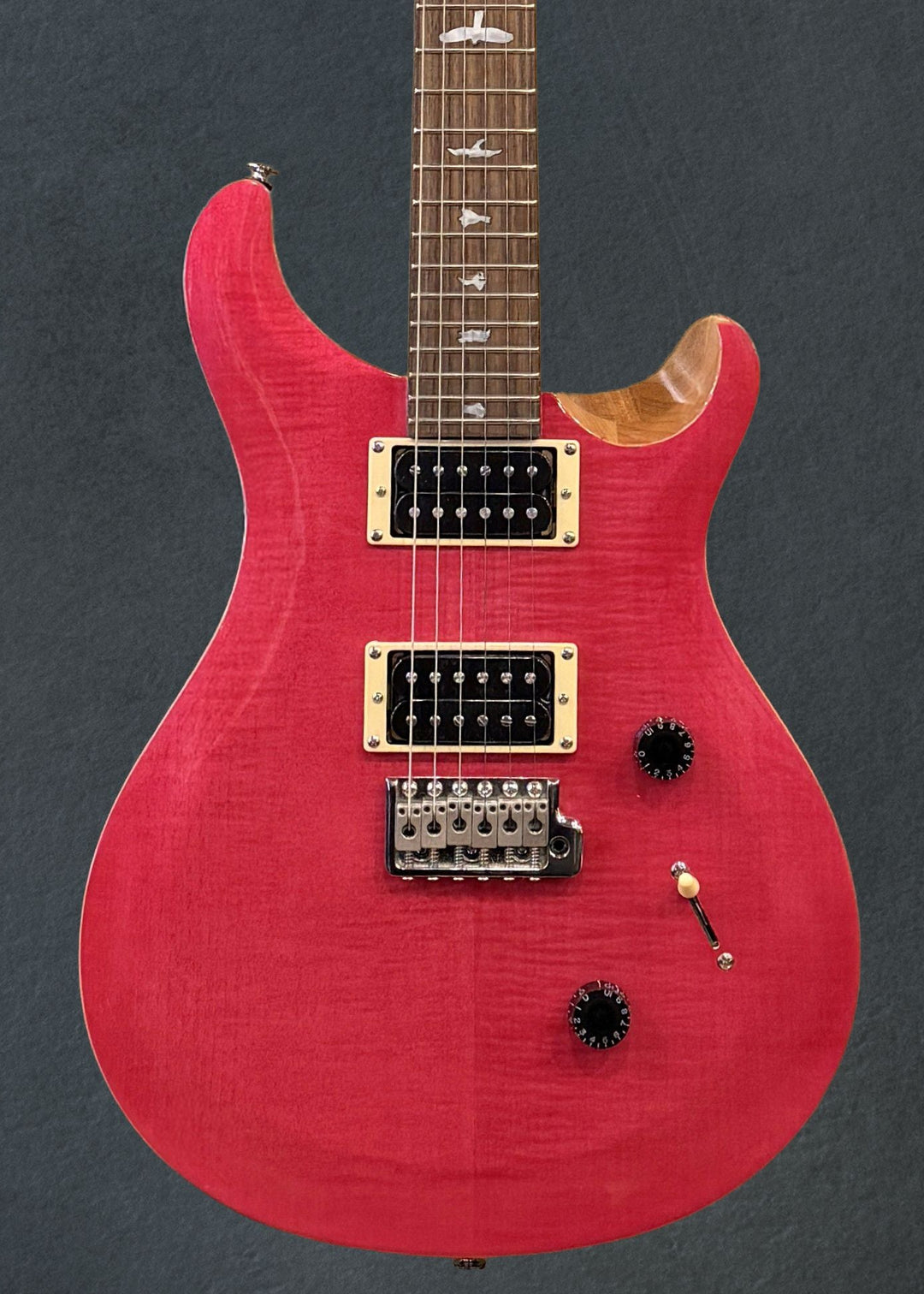 SE Custom 24 &