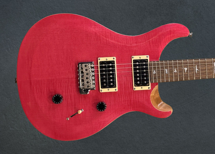 SE Custom 24 &