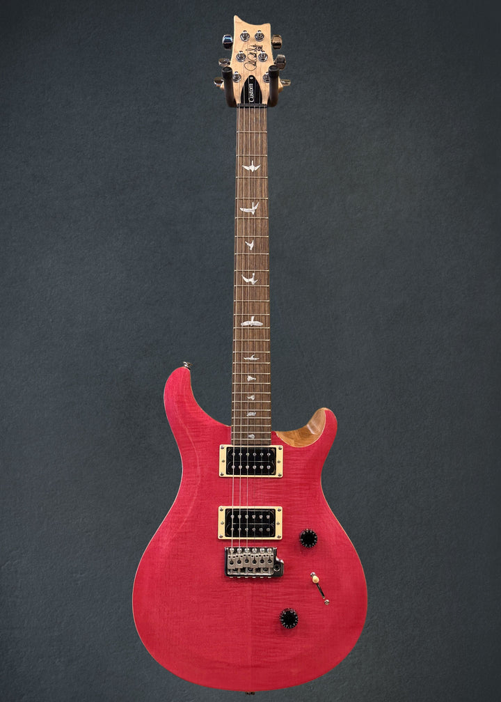 SE Custom 24 &