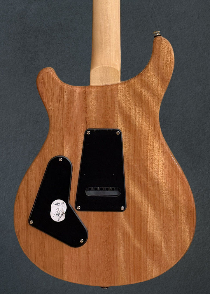 SE Custom 24 &