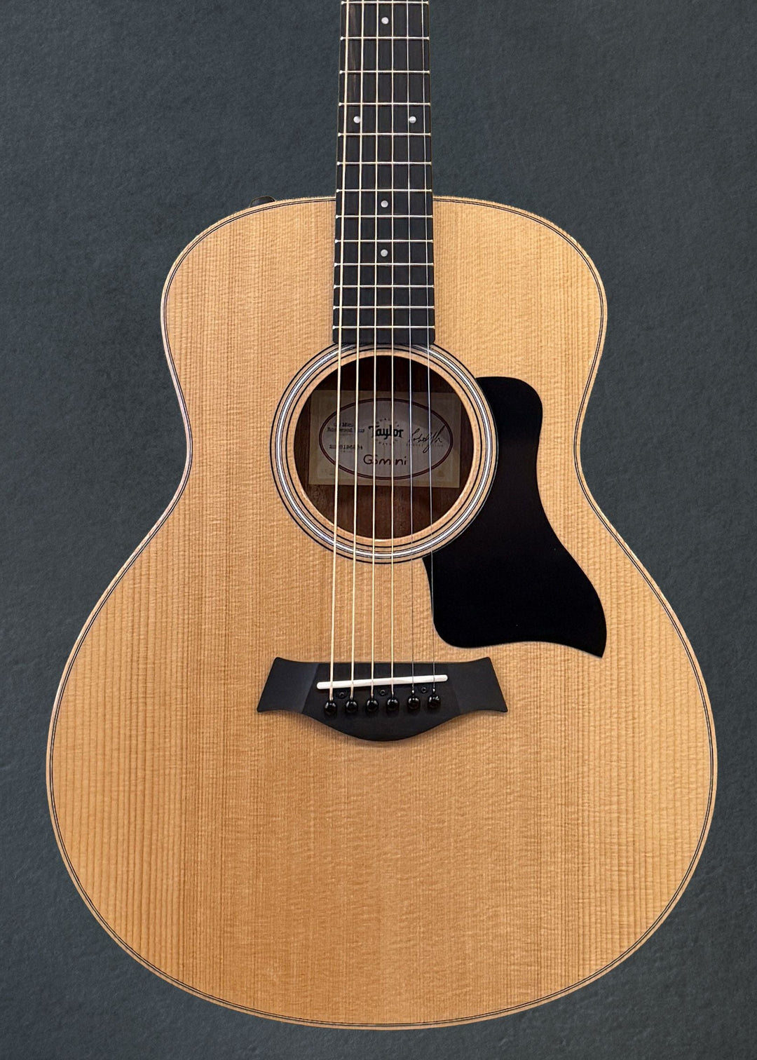 GS Mini-e Rosewood Plus